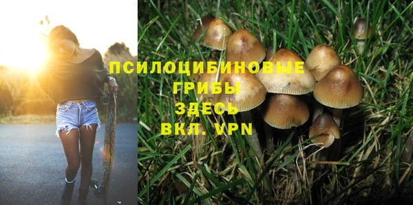 амф Алексин