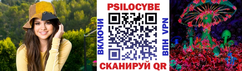 где продают наркотики блэк спрут как войти Псилоцибиновые грибы Cubensis Сорочинск