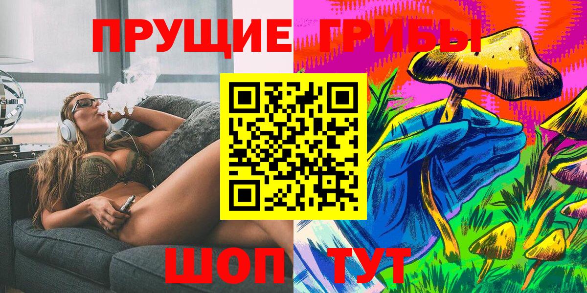 Сорочинск  Псилоцибиновые грибы Psilocybine cubensis  Вход с VPN 