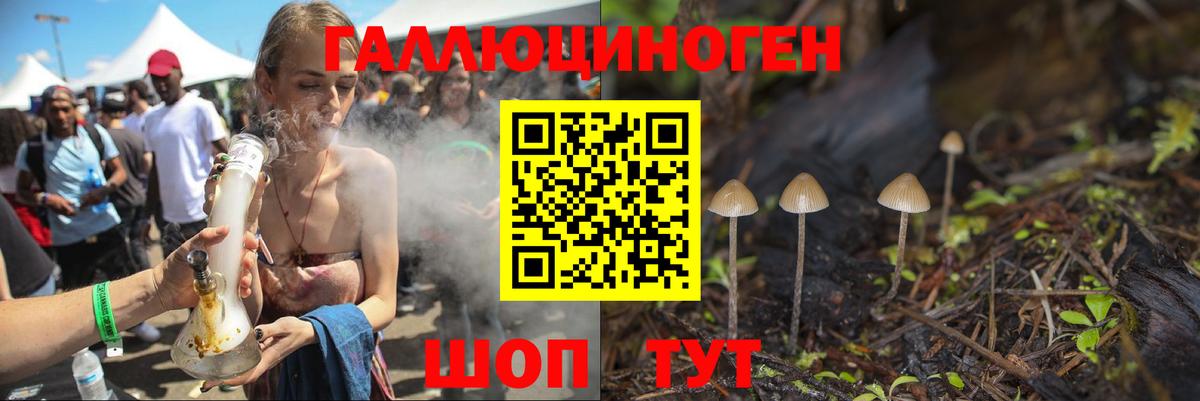 Псилоцибиновые грибы мухоморы Сорочинск